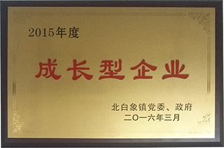 成长型企业