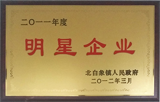 明星企业