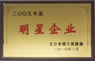 明星企业